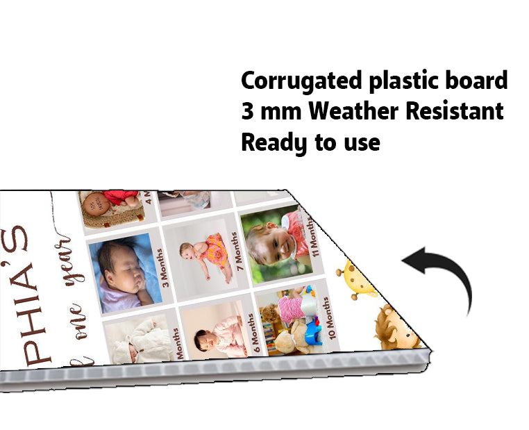 Wild one Theme Baby First Year Photo Sign Board