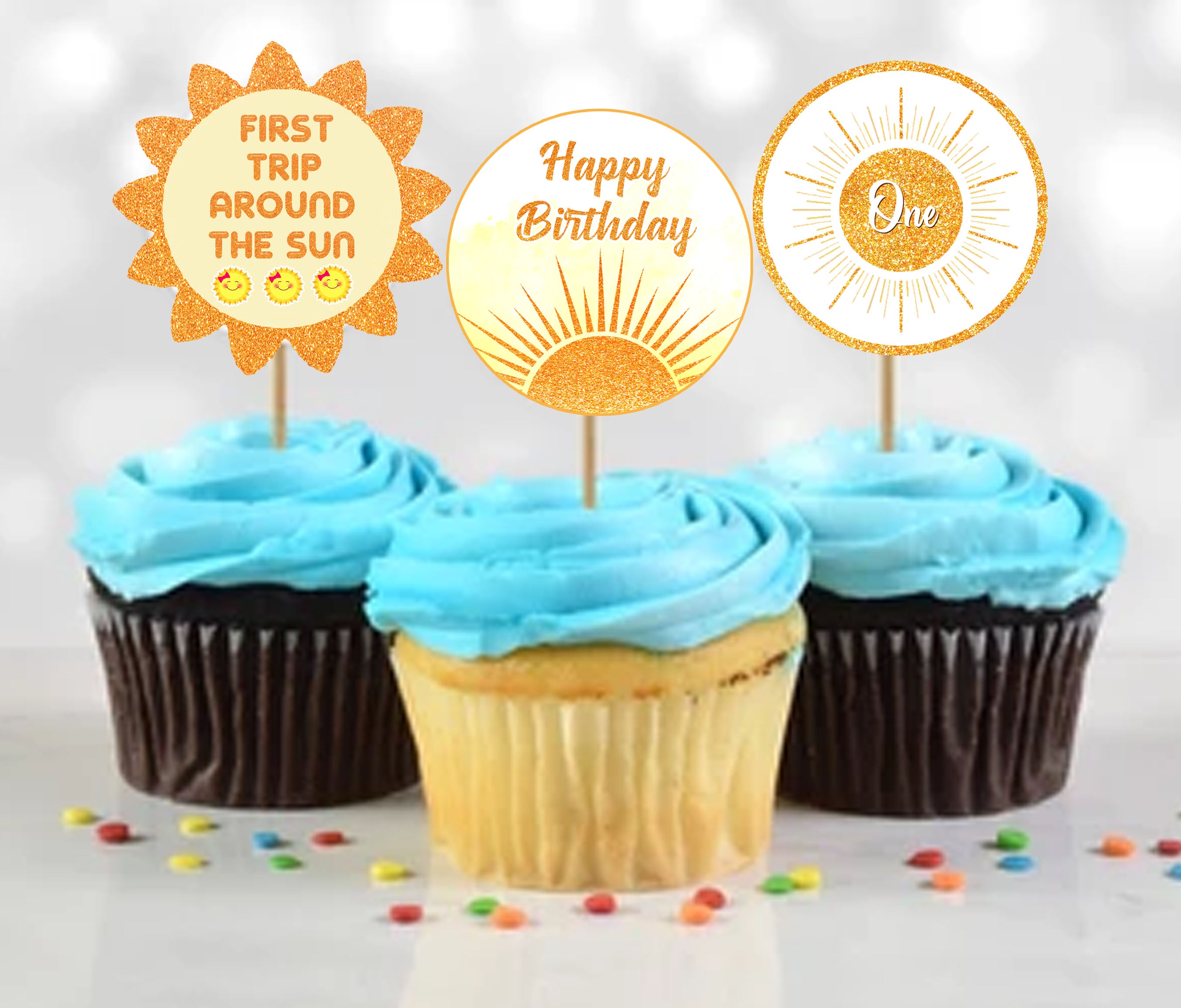 First Trip Around The Sun Birthday Party Cupcake Toppers for Decoration