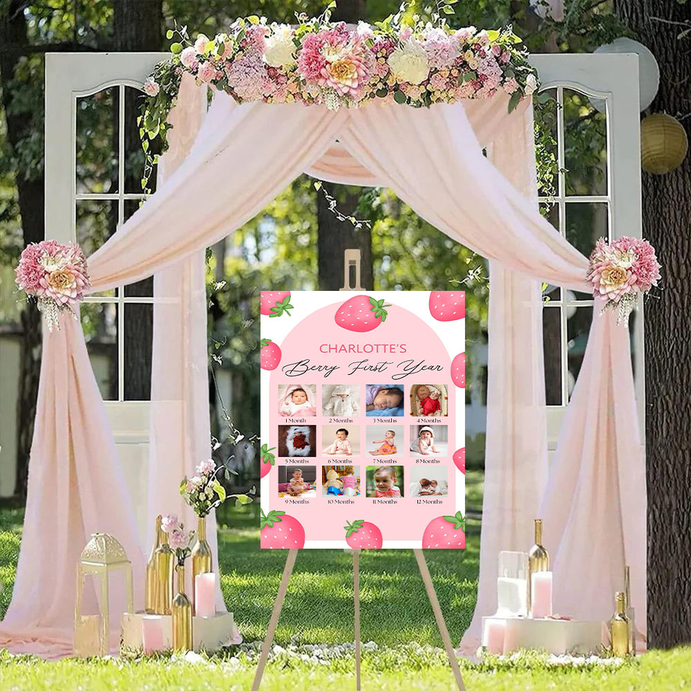 Hot Air Theme Baby First Year Photo Sign Board