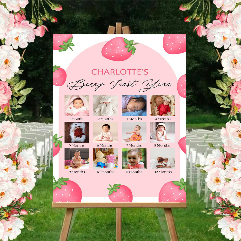 Hot Air Theme Baby First Year Photo Sign Board