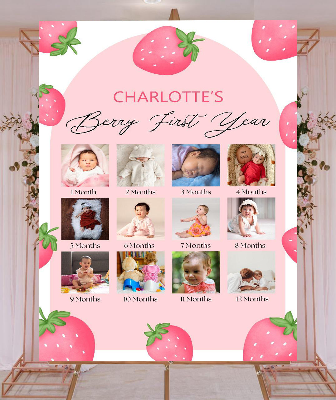 Hot Air Theme Baby First Year Photo Sign Board