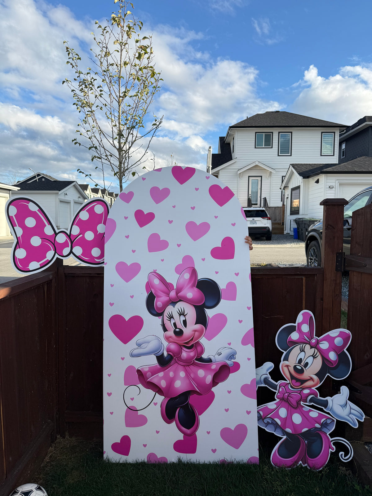 Customized Birthday Party Combo | Backdrop + 2 Character Cutouts (Any Theme) | Custom DIY bundle pack |