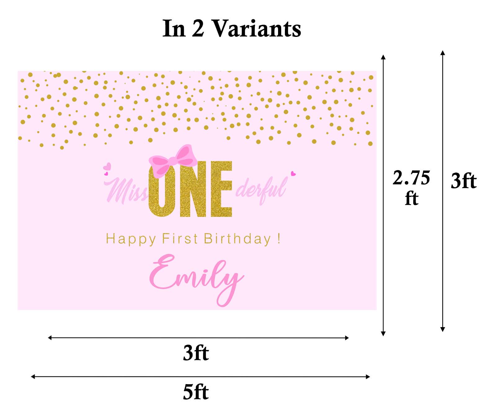 One Is Fun Birthday Party Personalized Backdrop.