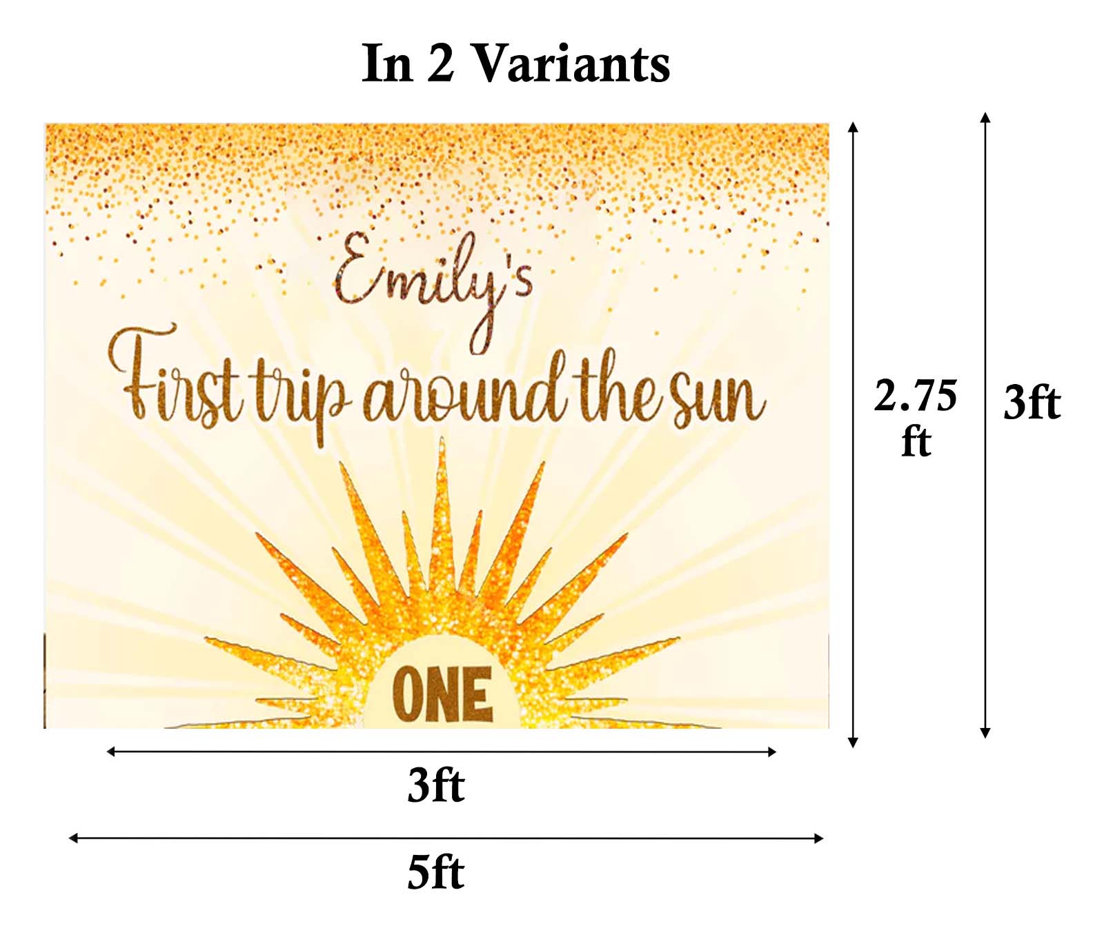 First Trip Around The Sun Birthday Party Personalized Backdrop.