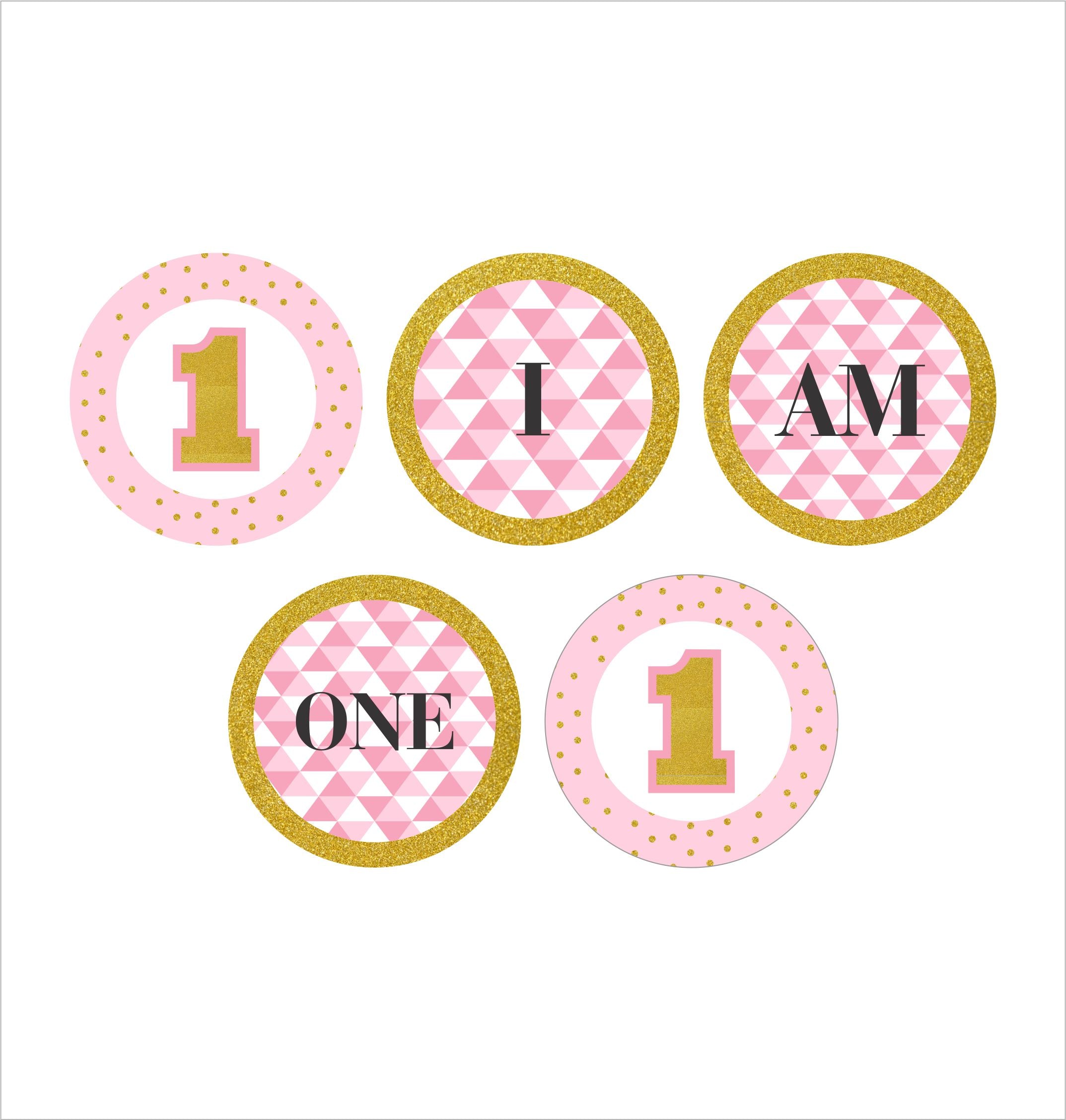 One Is Fun Theme Banner Birthday Decoration