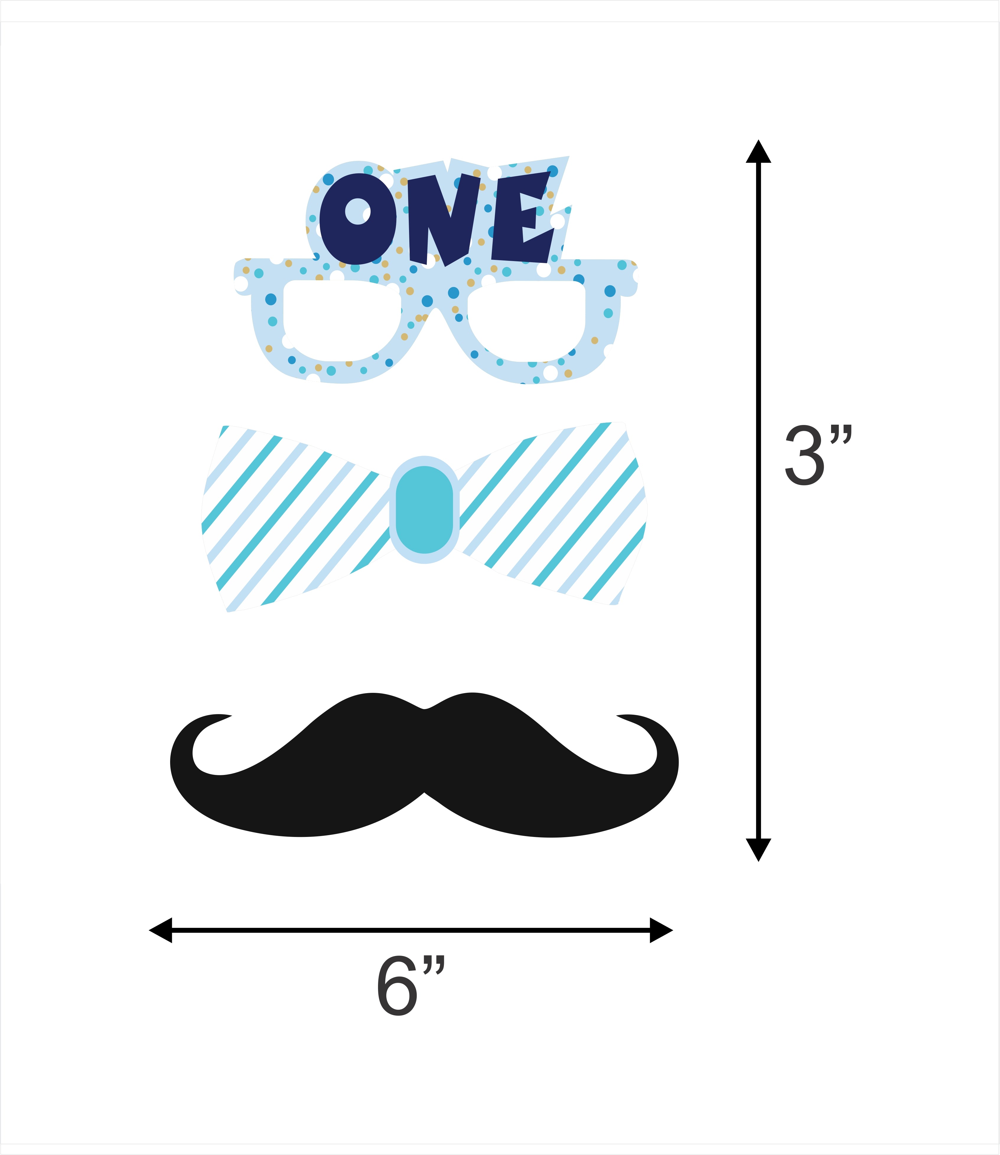 One Is Fun Birthday Party Photo Booth Props Kit