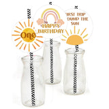 First Trip Around The Sun  Birthday Party Paper Decorative Straws