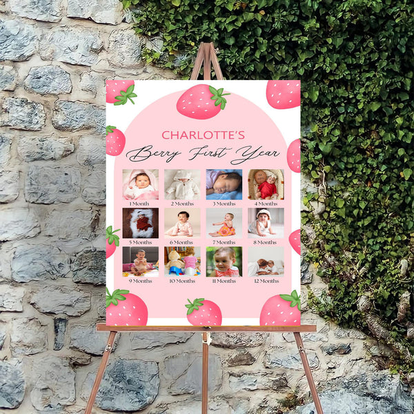 Hot Air Theme Baby First Year Photo Sign Board