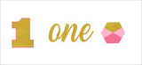 One Is Fun Birthday Party Cupcake Toppers for Decoration