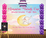 Twinkle Twinkle Little Star Theme Birthday Party Personalized Multi-Saver Combo For Your Kids First Birthday