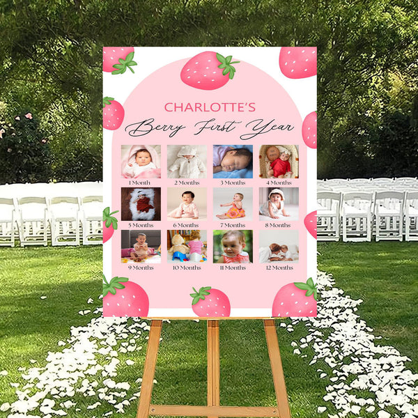 Hot Air Theme Baby First Year Photo Sign Board