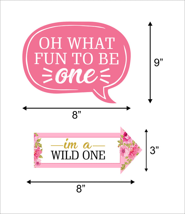 One Is Fun Birthday Party Photo Props Kit