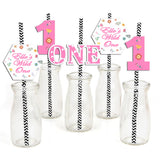 Wild One Birthday Party Paper Decorative Straws