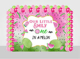 One In A Melon Birthday Party Decoration Kit With Personalized Backdrop.