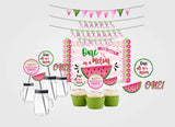 One In A Melon Theme Birthday Complete Personalize Party Kit