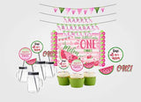 One In A Melon Theme Birthday Complete Personalize Party Kit