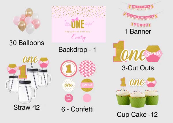 One Is Fun Theme Birthday Complete Personalize Party Kit