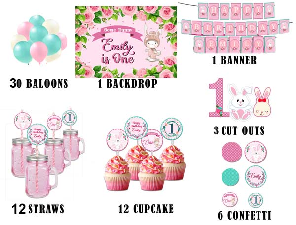 Bunny Theme Birthday Complete Personalize Party Kit