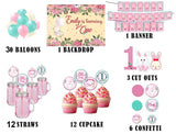 Bunny Theme Birthday Complete Personalize Party Kit