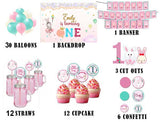 Bunny Theme Birthday Complete Personalize Party Kit