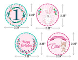 Bunny Theme Birthday Party Cupcake Toppers for Decoration