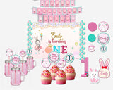 Bunny Theme Birthday Complete Personalize Party Kit