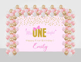 One Is Fun Birthday Party Decoration Kit With Personalized Backdrop.