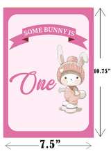 Bunny Theme Birthday Paper Door Banner/ Wall Decoration.