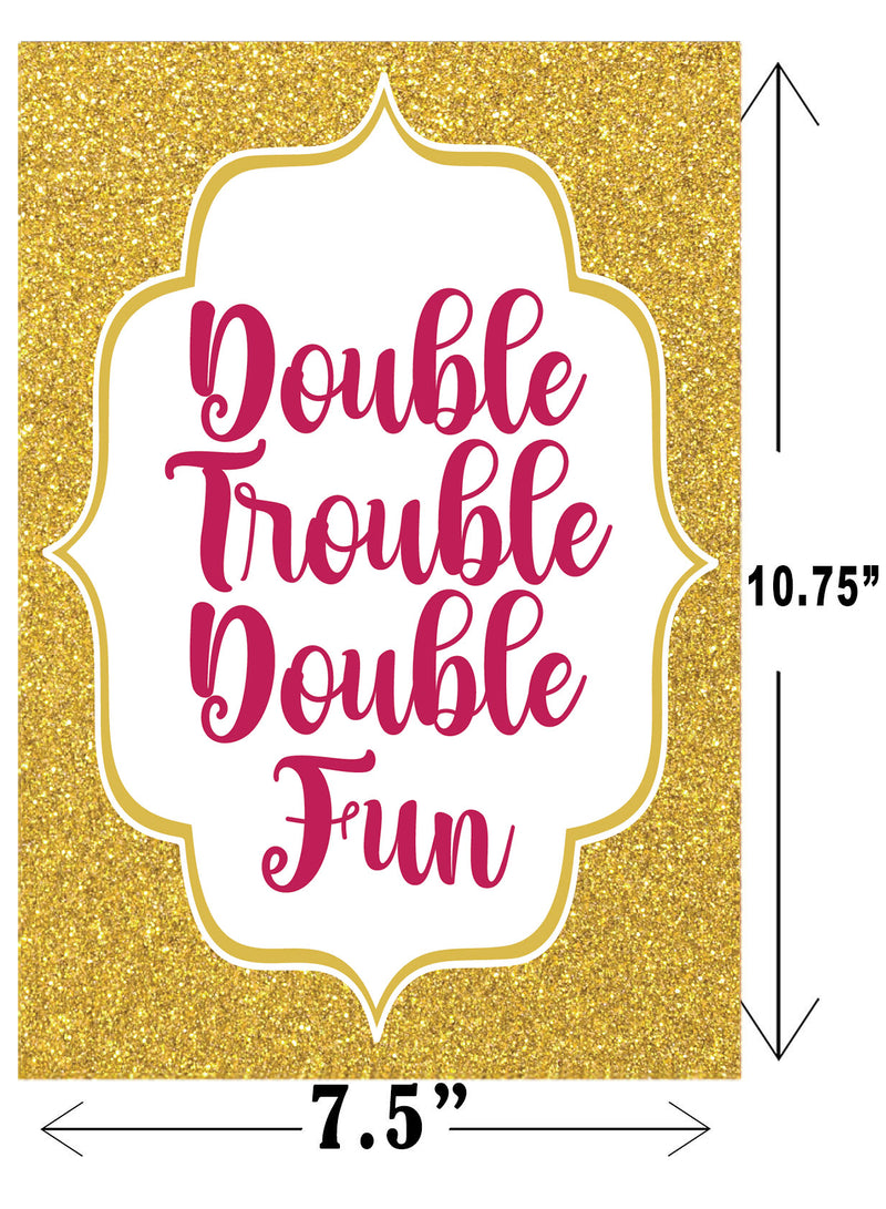 Twin Girls Theme Birthday Paper Door Banner/ Wall Decoration.