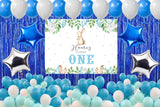 Bunny Birthday Party Complete Set with Personalized Backdrop