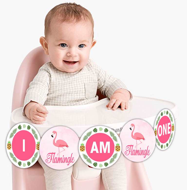Flamingo  "I Am One" Birthday Banner for Decoration