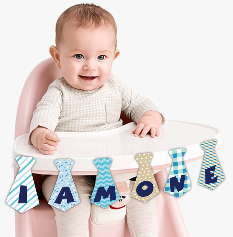 One Is Fun Theme  Banner Birthday Decoration
