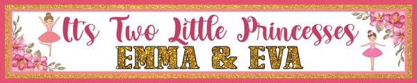 Twin Girls Birthday Party Long Banner for Decoration