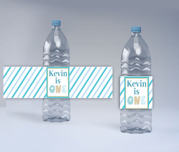 One Is Fun Theme Water Bottle Labels
