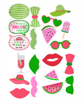 One In A Melon Birthday Party Photo Booth Props Kit