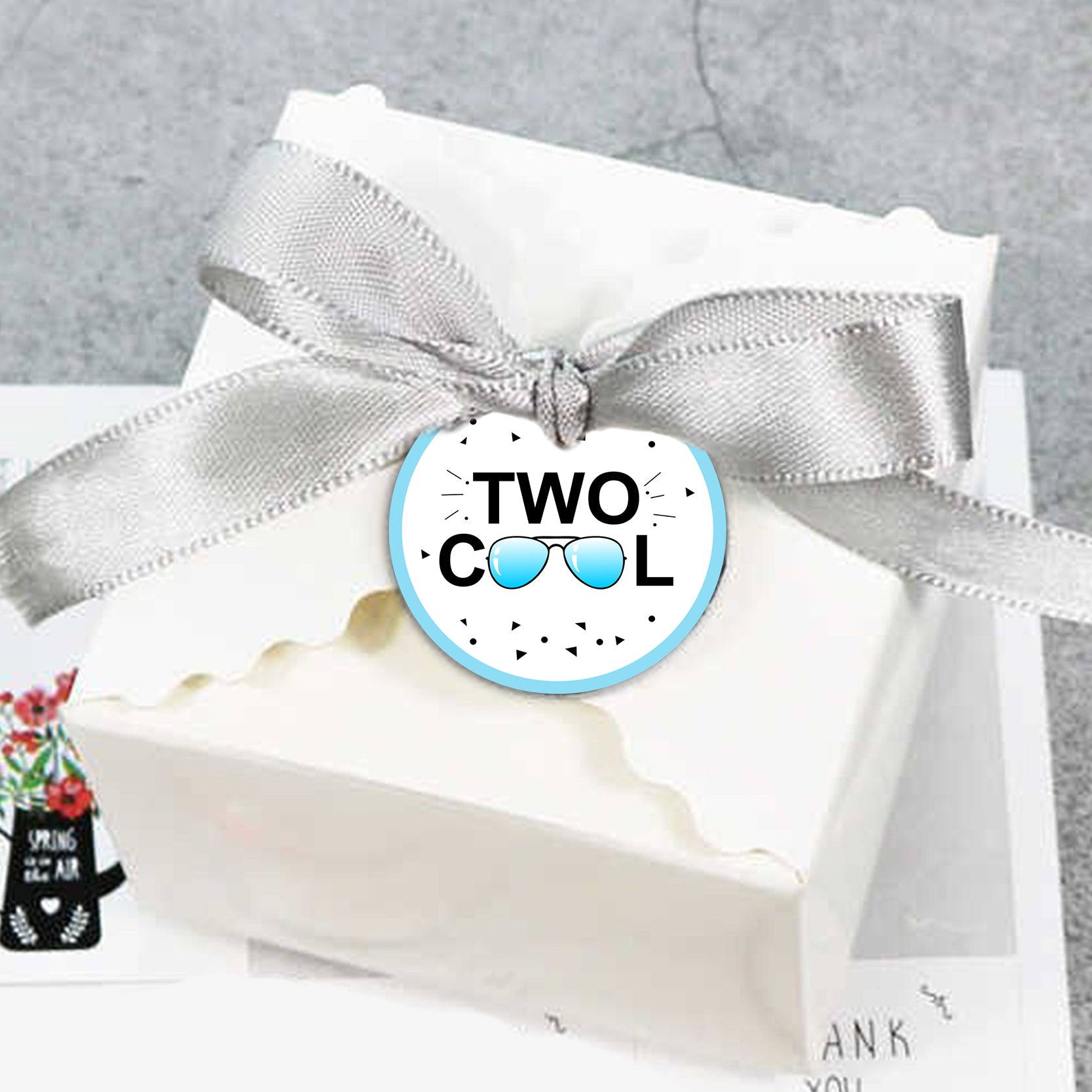 Two Cool Party Birthday Thank You Tags/Return Gift tags
