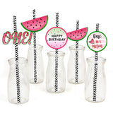 One In A Melon Birthday Party Paper Decorative Straws