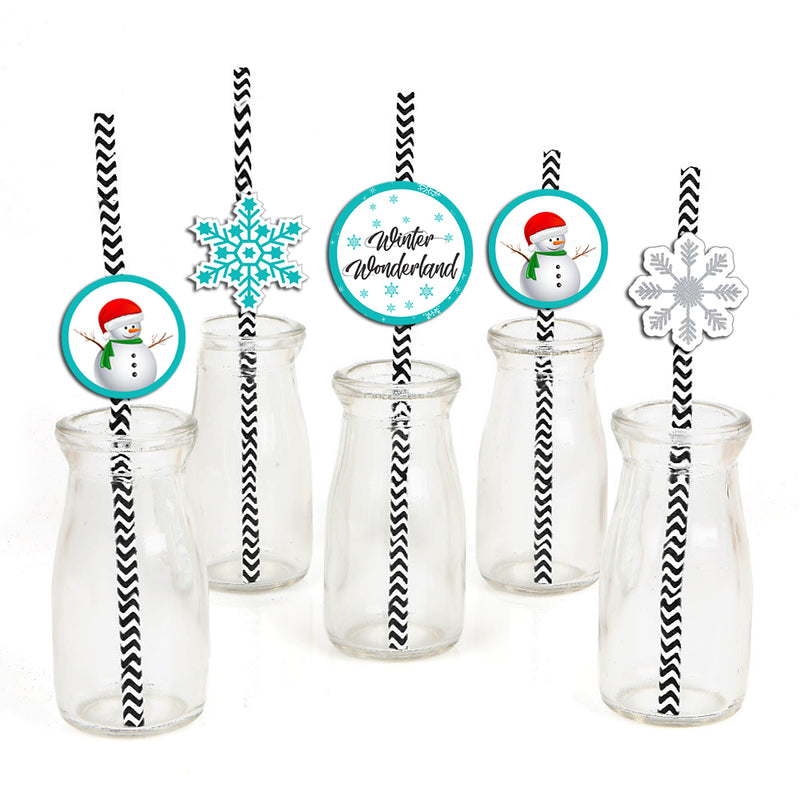 Winter Wonderland Birthday Party Paper Decorative Straws