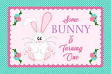 Bunny Theme Birthday Table Mats for Decoration