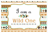 Wild One Theme Birthday Table Mats for Decoration