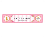 One Is Fun Birthday Party Long Banner for Decoration