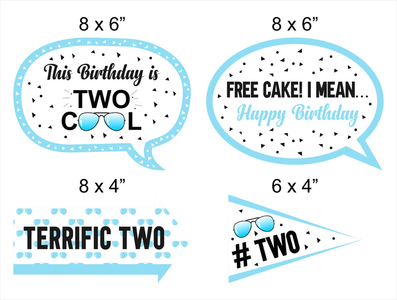 Two Cool Party Birthday Photo Props Kit