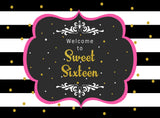 16th Theme Birthday Party Yard Sign/Welcome Board