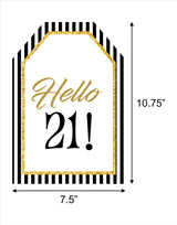 21st Theme Birthday Paper Door Banner or for Wall Decoration.