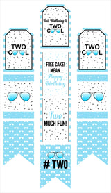 Two Cool Party Theme Birthday Paper Door Banner or for Wall Decoration.