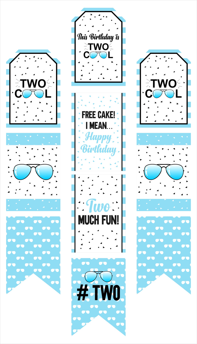 Two Cool Party Theme Birthday Paper Door Banner or for Wall Decoration.