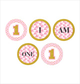 One Is Fun Theme  Banner Birthday Decoration