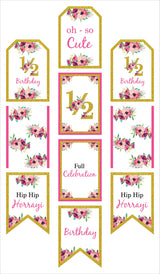 Half Birthday Girls Theme Birthday Paper Door Banner/ Wall Decoration.