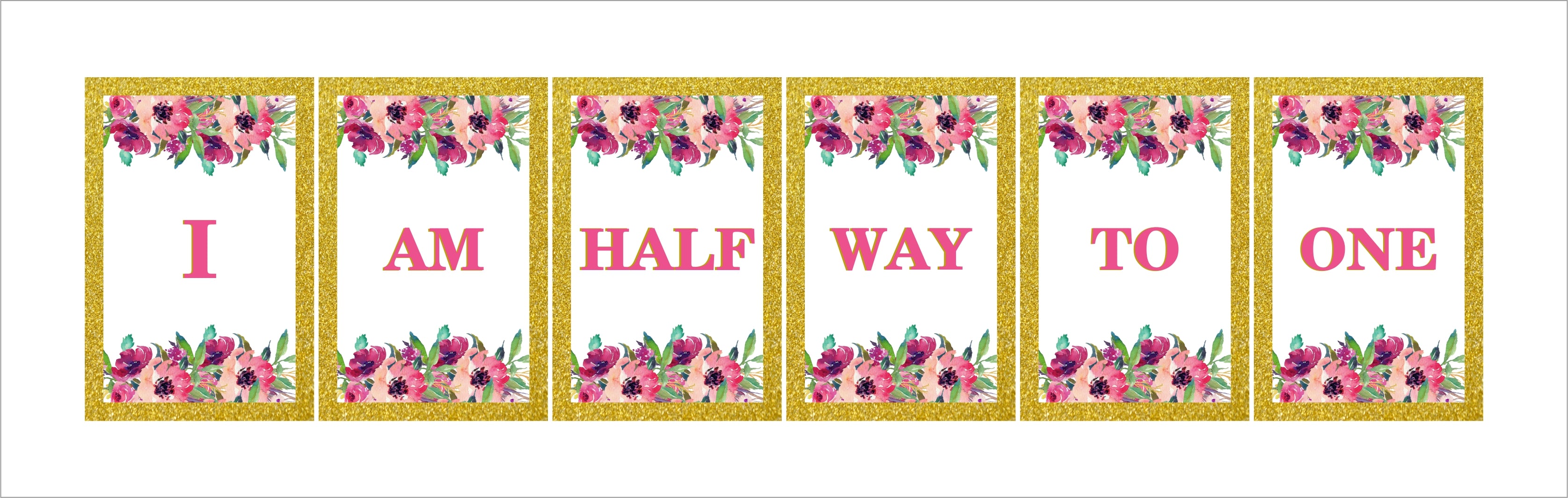 Half Birthday Girls Theme Birthday Party Banner for Decoration