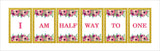 Half Birthday Girls Theme Birthday Party Banner for Decoration